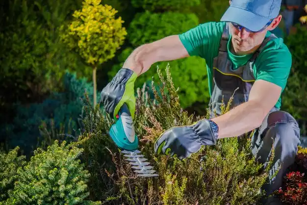 landscaping services Hanson